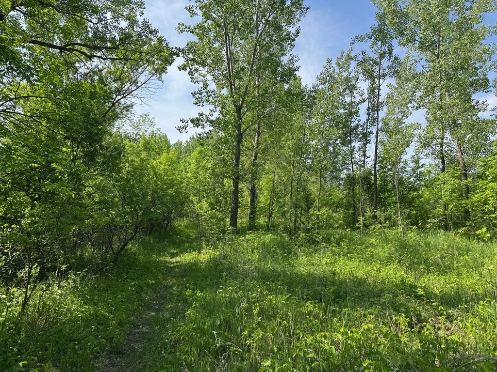 Picture 14