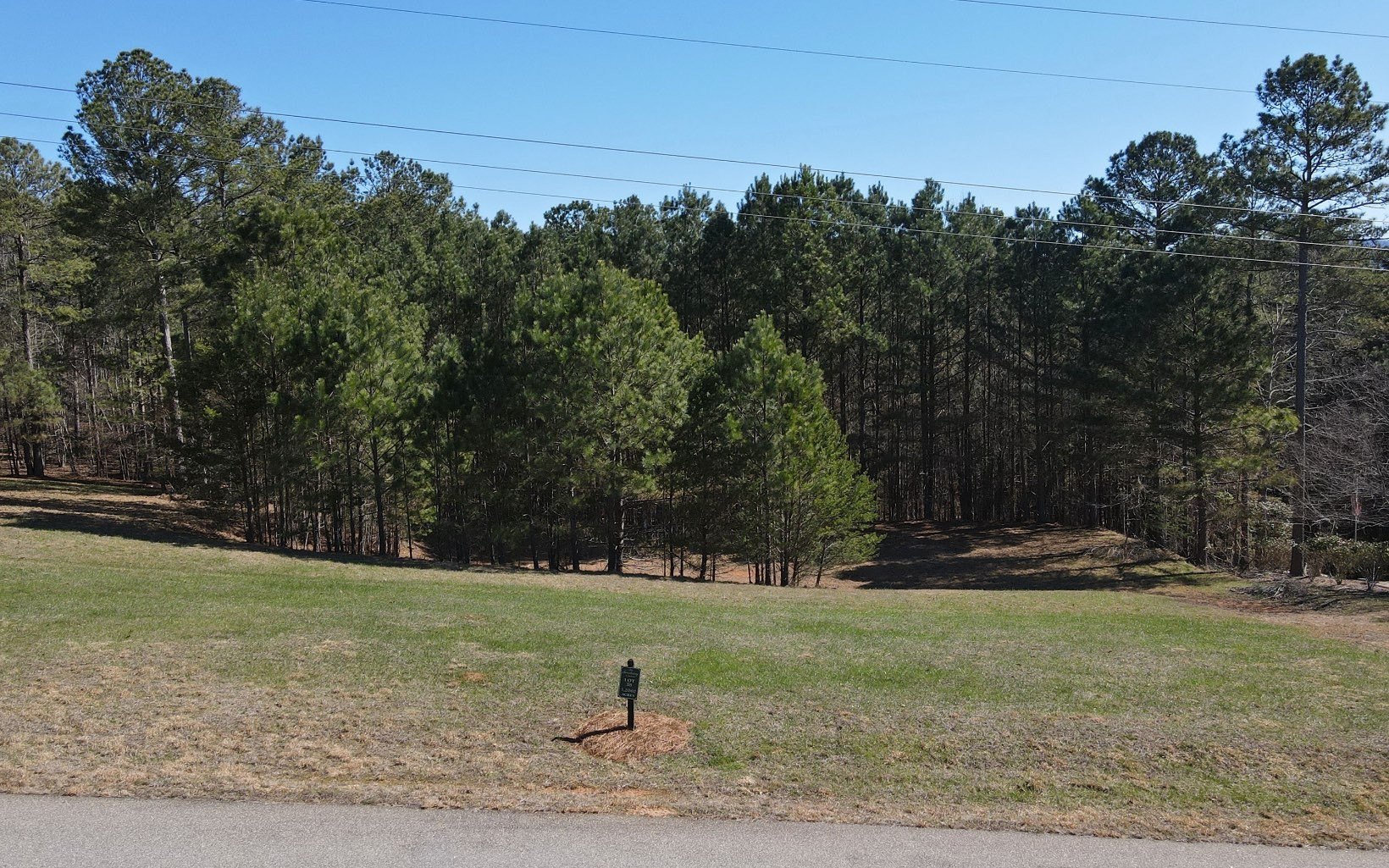 Blairsville Lot with Mountain Views