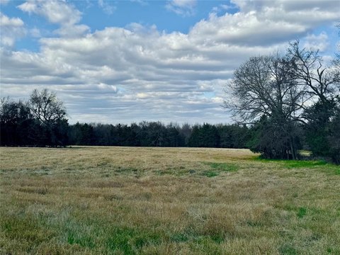 29 Acres of Farmland