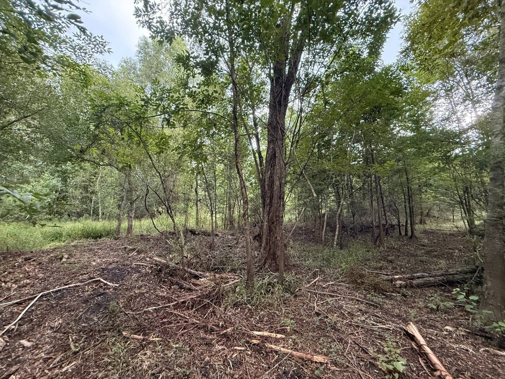 Picture 16