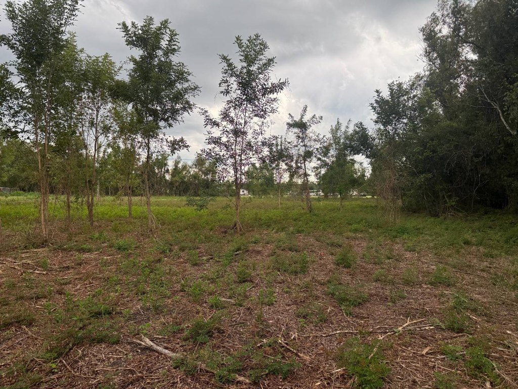 Picture 19