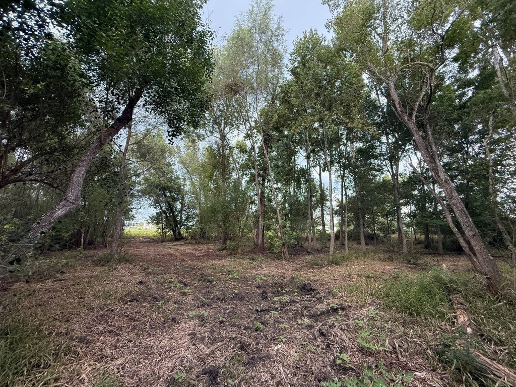 Picture 17