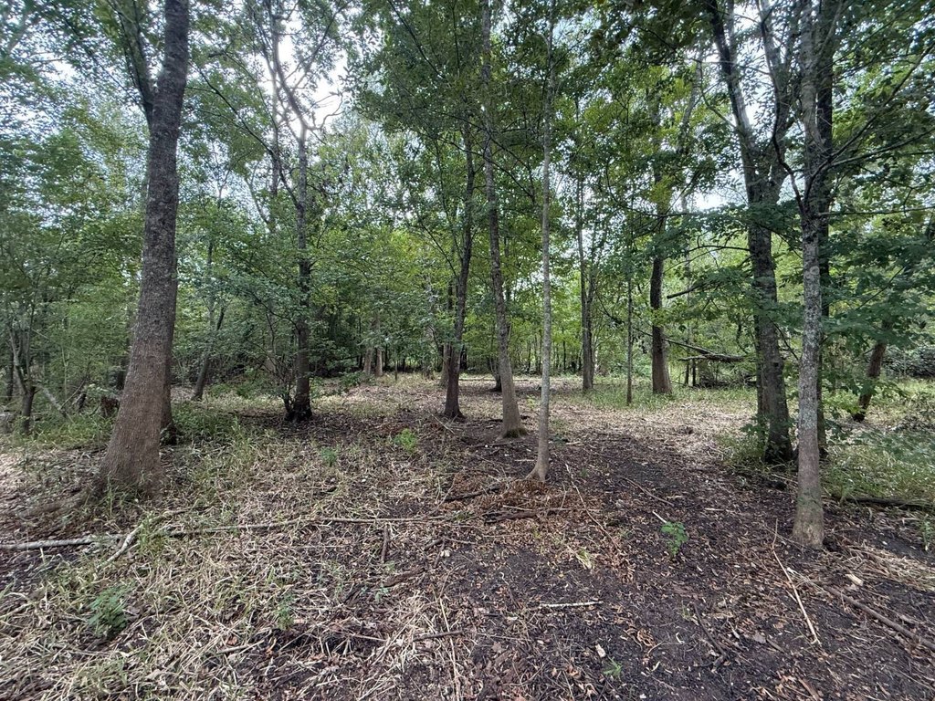 Picture 3