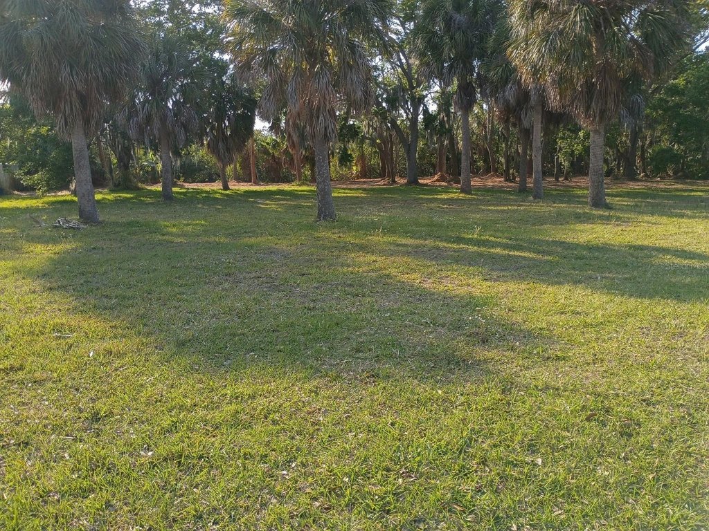 Picture 3