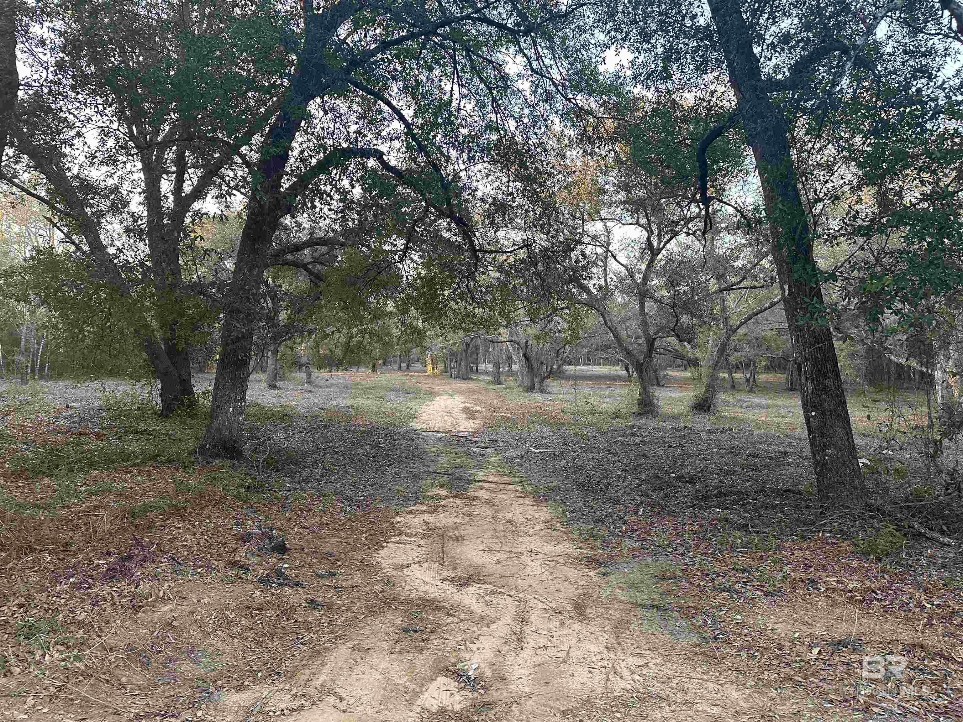 Residential Land Near Perdido Bay