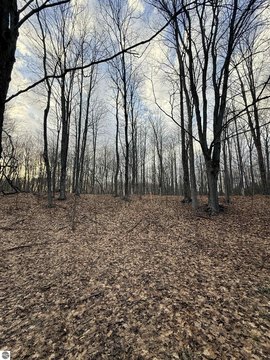 South Creek Wooded Homesite Opportunity