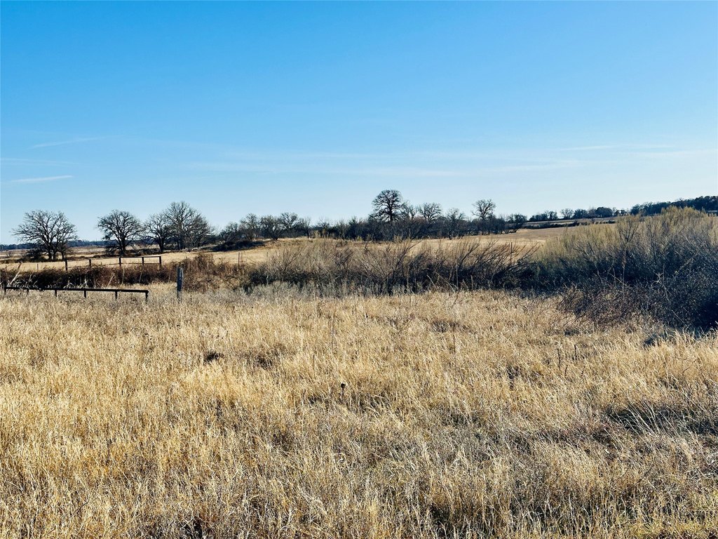 Picture 34