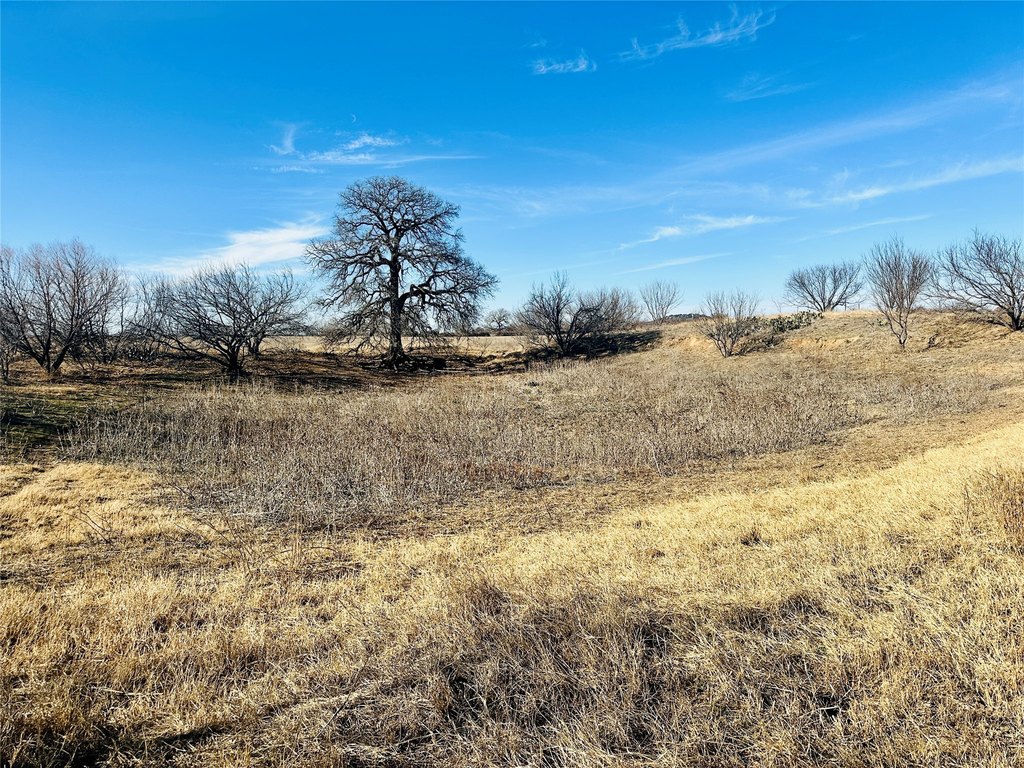 Picture 21