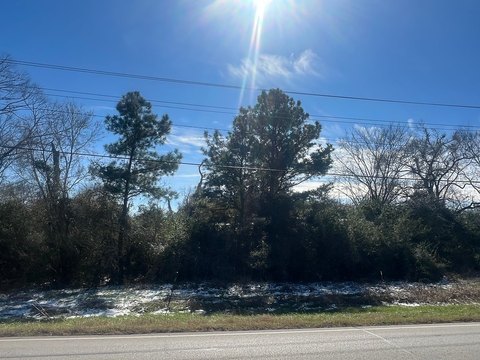 Partially Wooded Land with Utilities