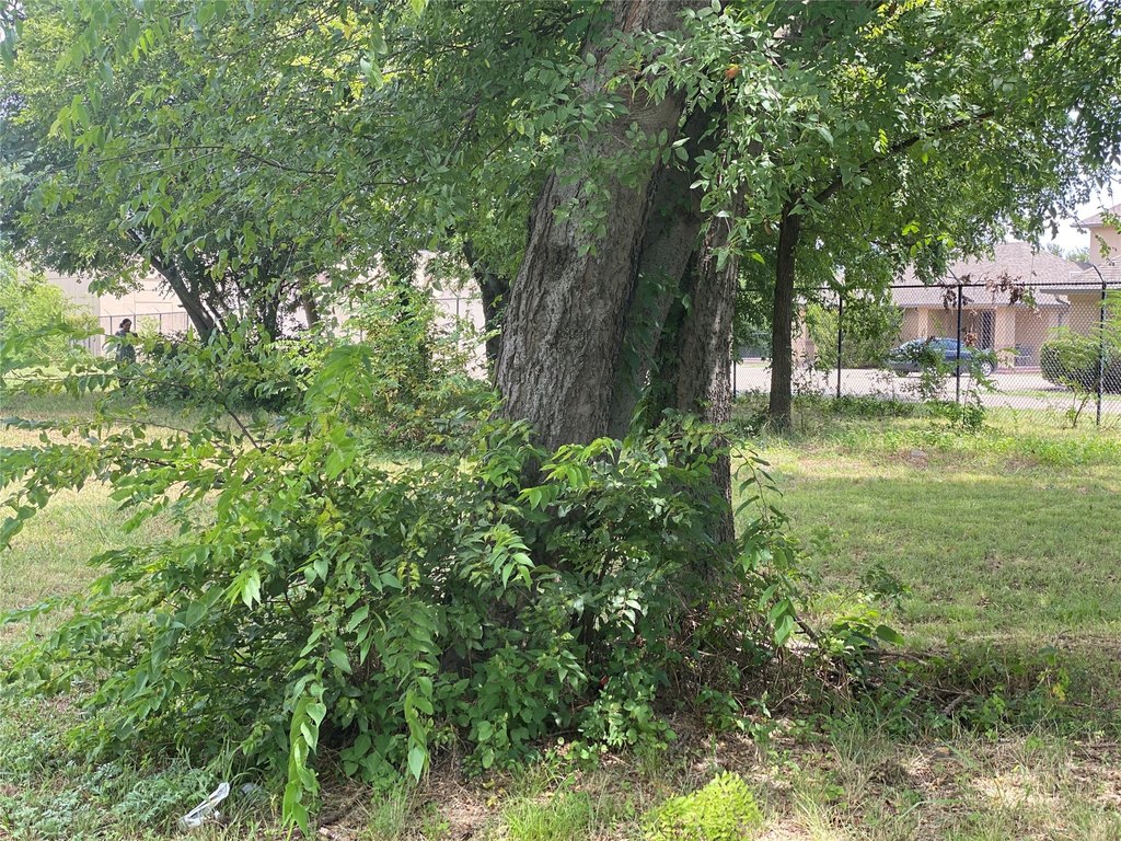 Picture 11