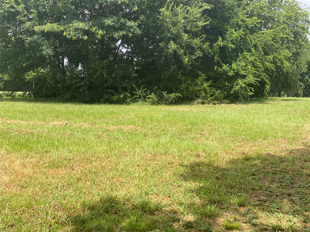Picture 13