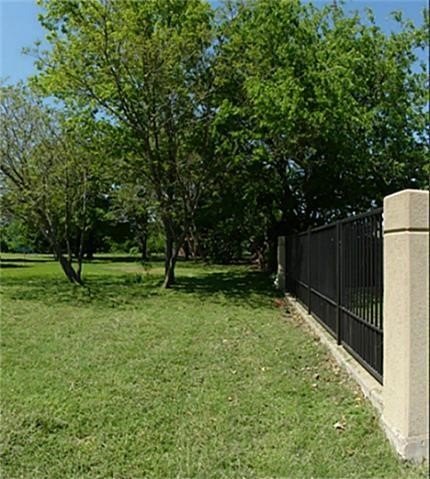 Picture 5