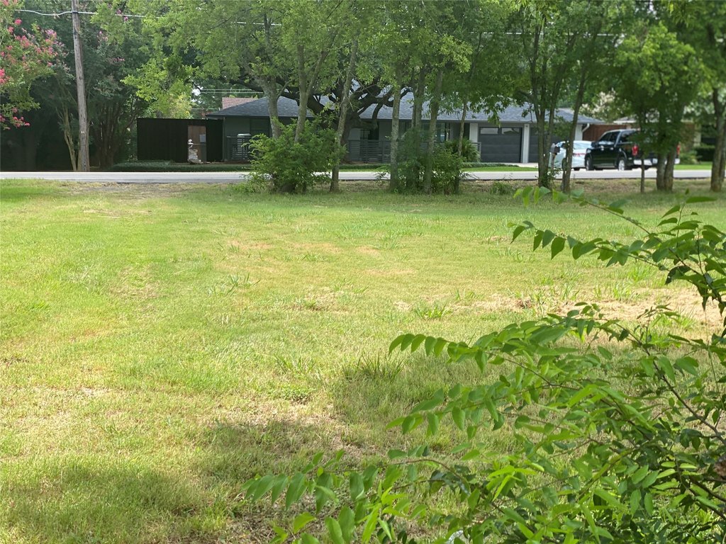 Picture 15