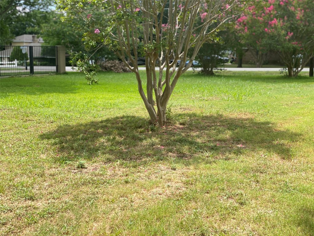 Picture 14
