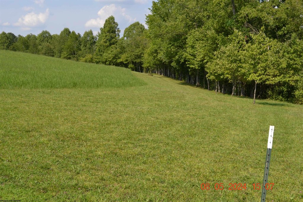 Picture 4