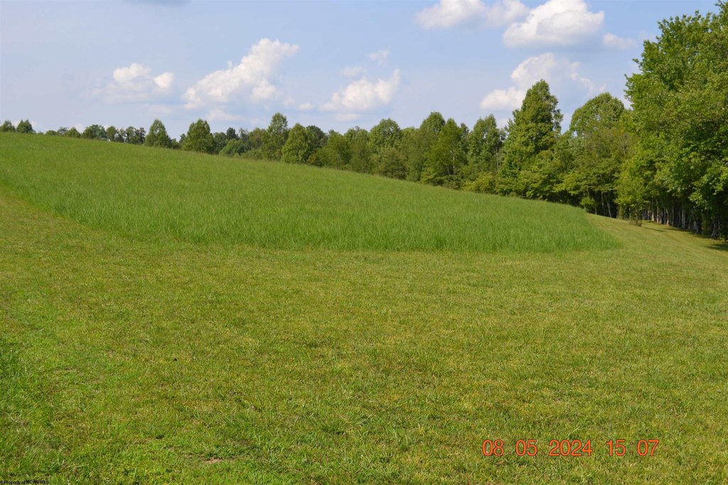 Picture 5