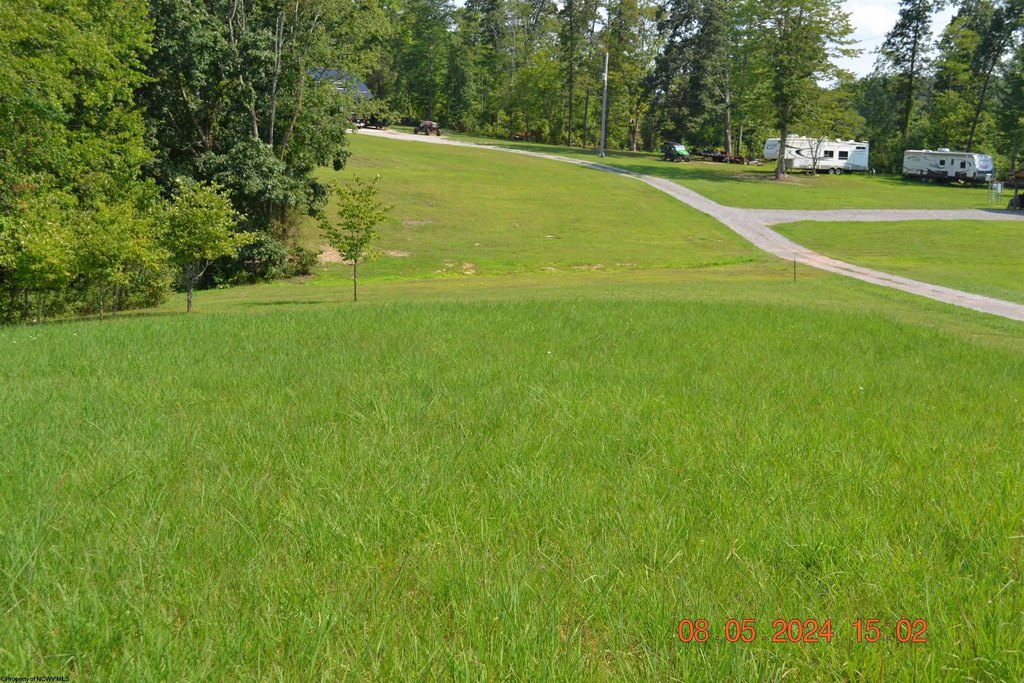 Picture 3
