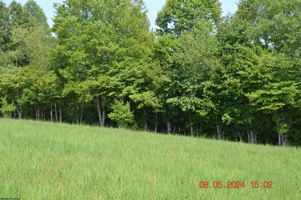 Picture 2
