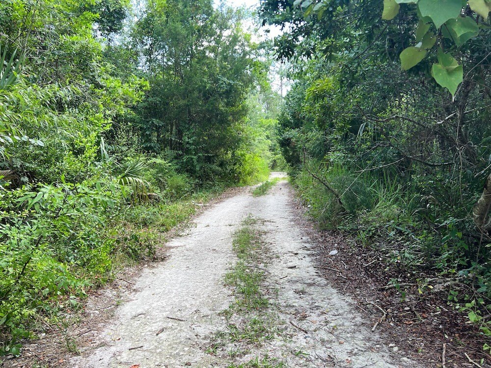Picture 15