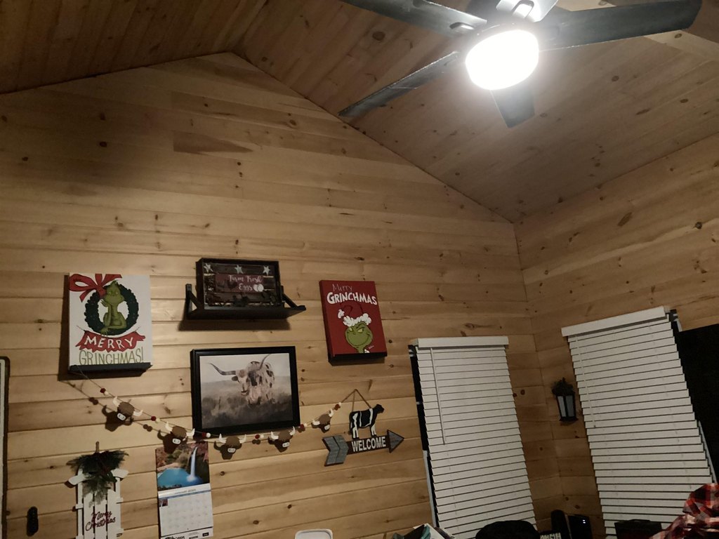Picture 4