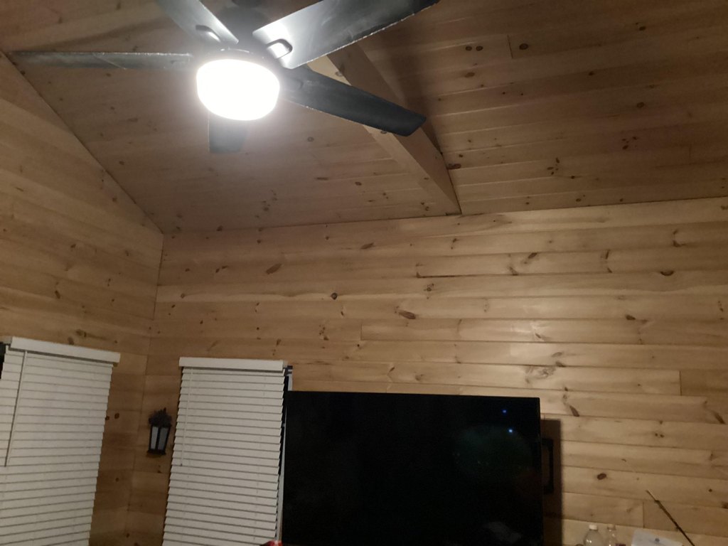 Picture 5