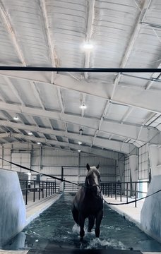 Horse Ranch with Covered Arena