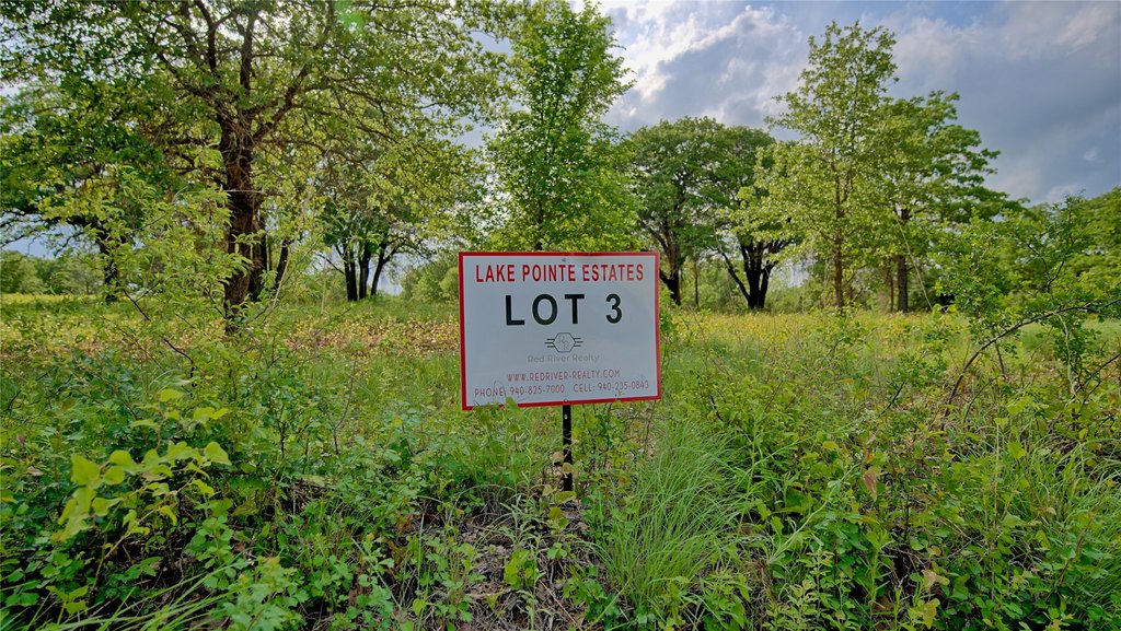 Picture 27