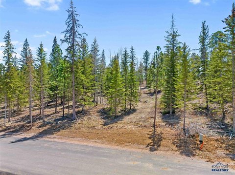 Residential Land Lot in Subdivision
