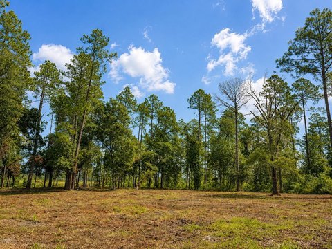 Land, Monticello, FL