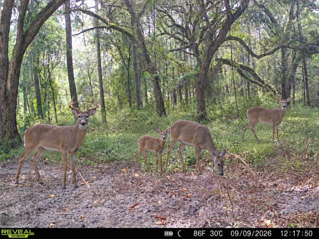 Picture 23