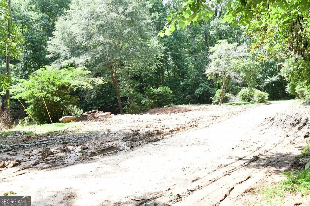 Picture 5