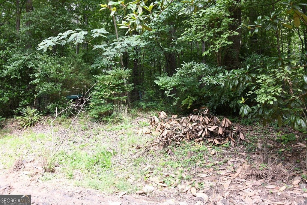 Picture 12