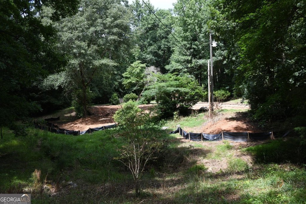 Picture 14