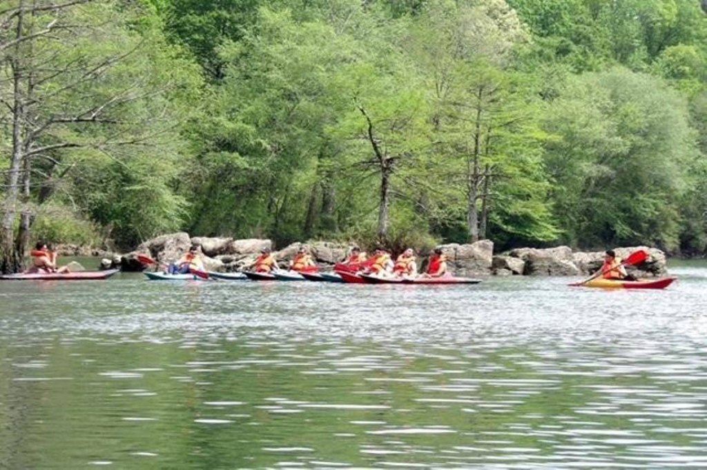 Picture 14