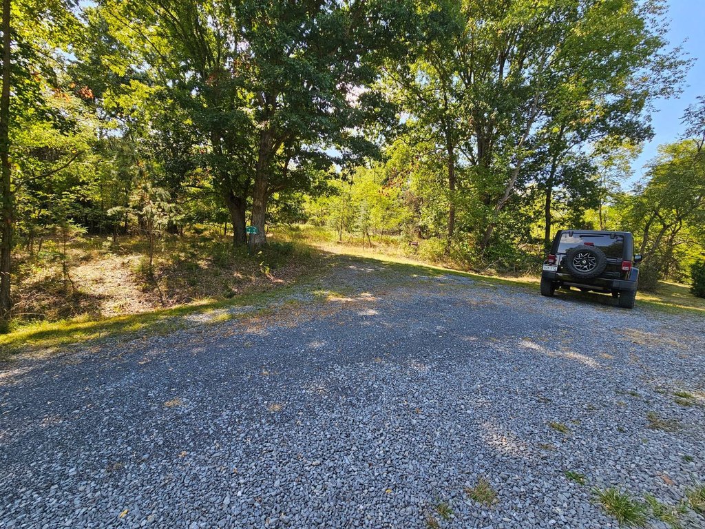 Picture 11