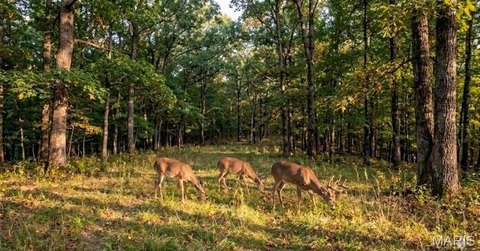 Residential Land in Potosi, MO