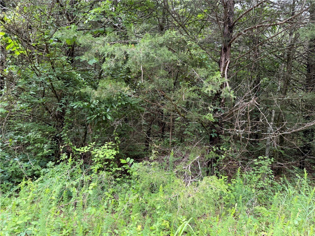 Picture 4