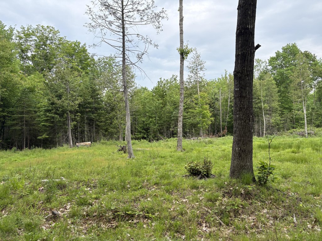 Picture 24