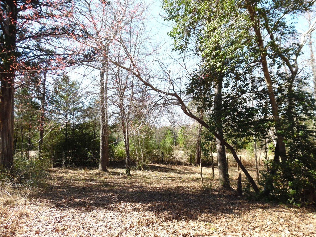 Picture 10