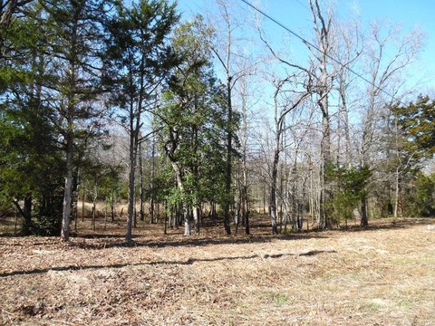 Waterfront Lots in Hickory Hills