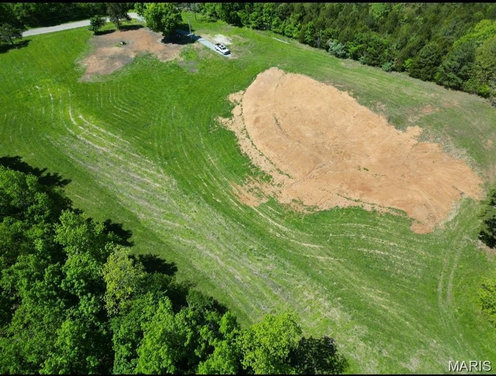 Picture 11