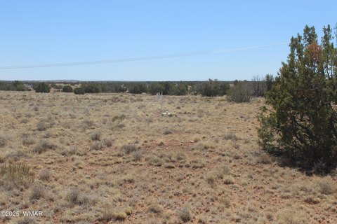 Picture of Land at Mesa Vw Lot 149 Dr 5999, Heber, AZ