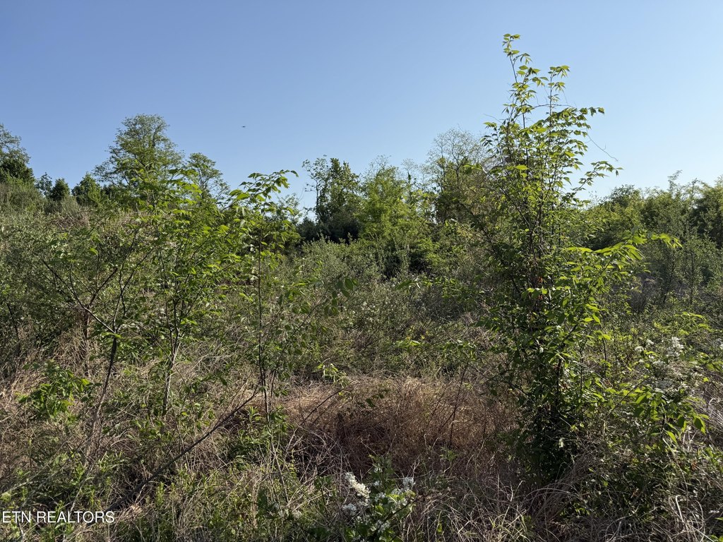 Picture 30