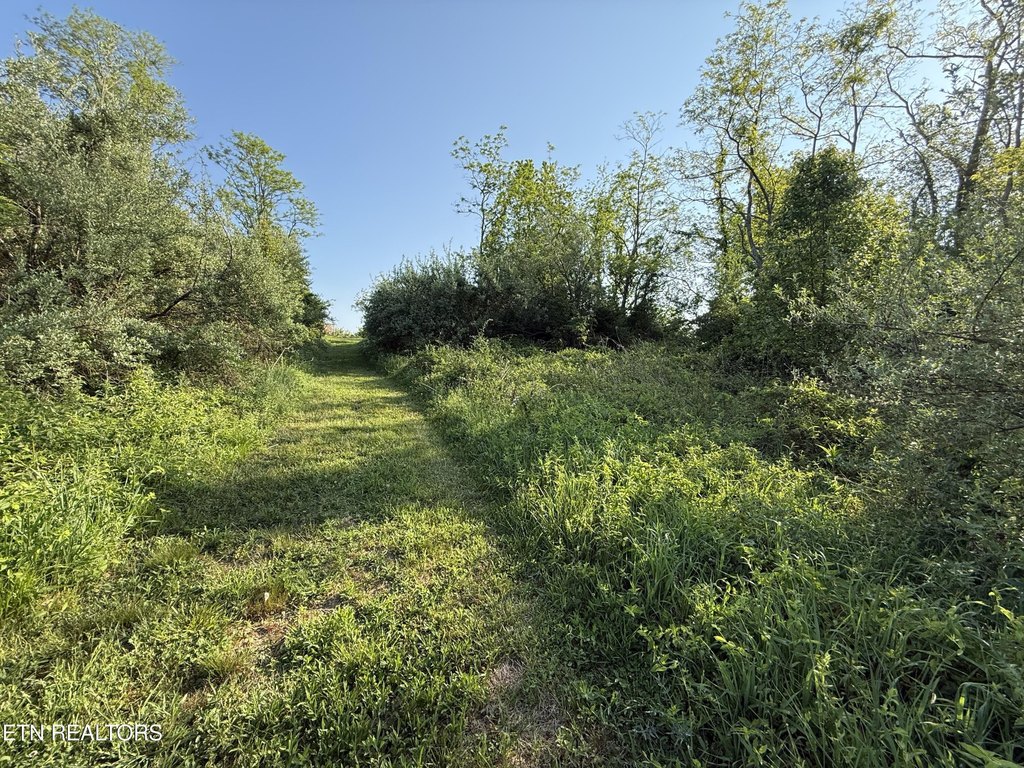 Picture 16