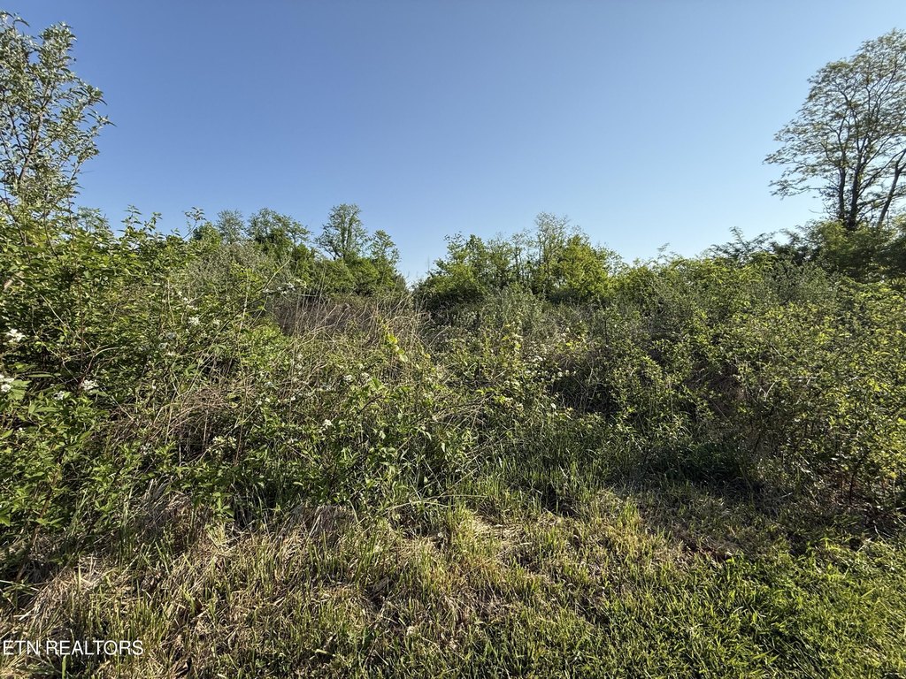 Picture 28