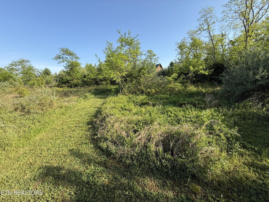 Picture 18