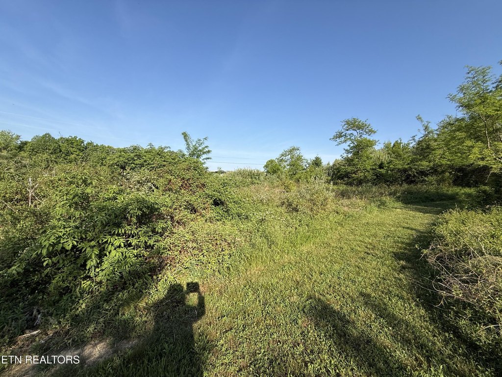 Picture 23