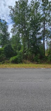 Residential Land Near Rainbow River