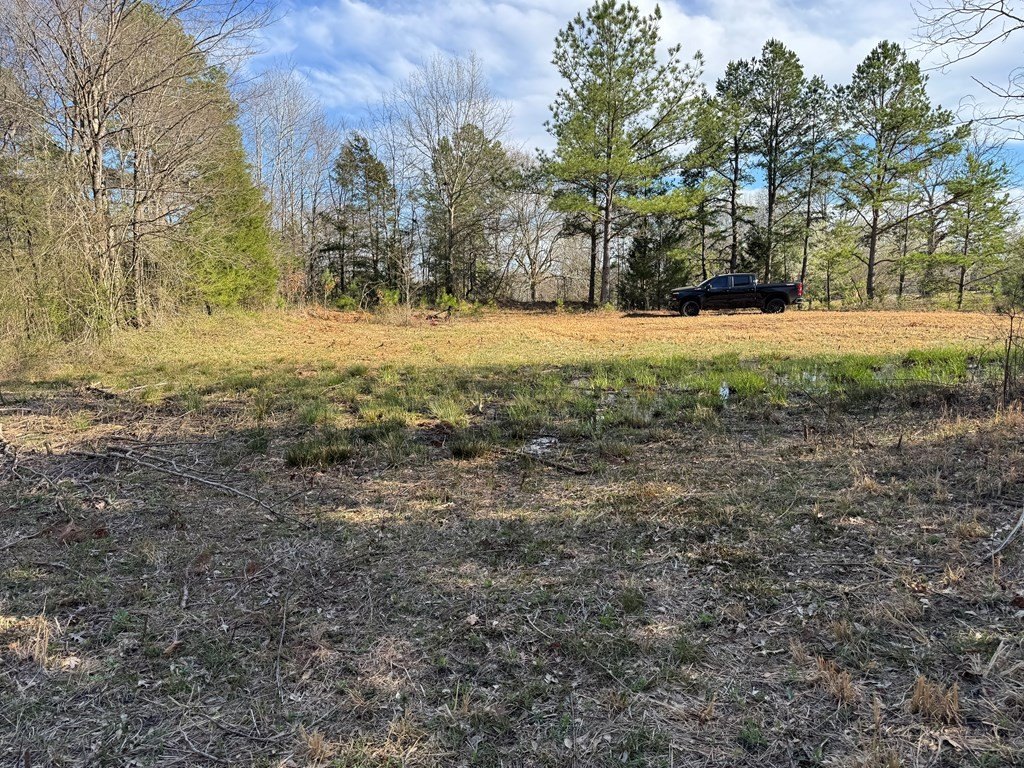 Picture 6