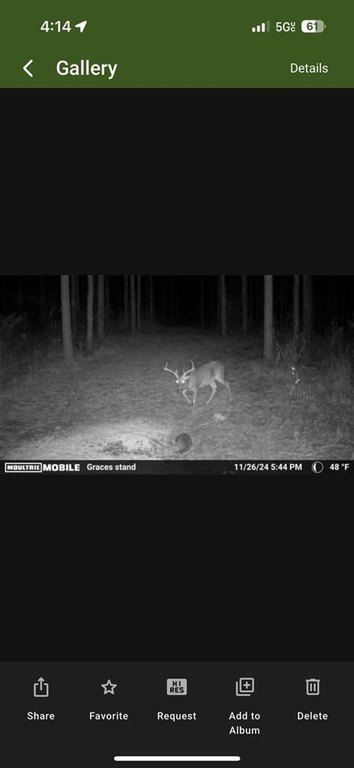 Picture 14